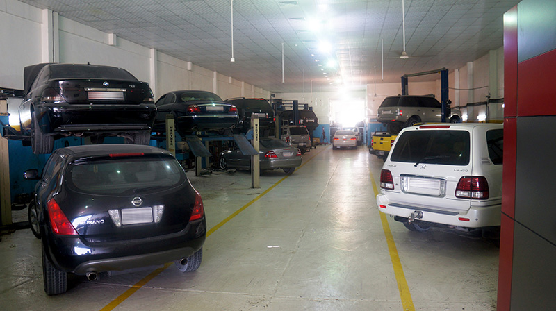 Bay overview with multiple cars on lifts
